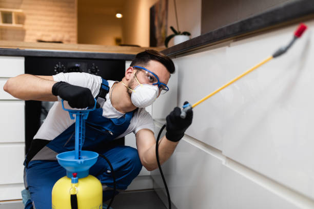 Best Wasp Removal Services  in Ruskin, FL