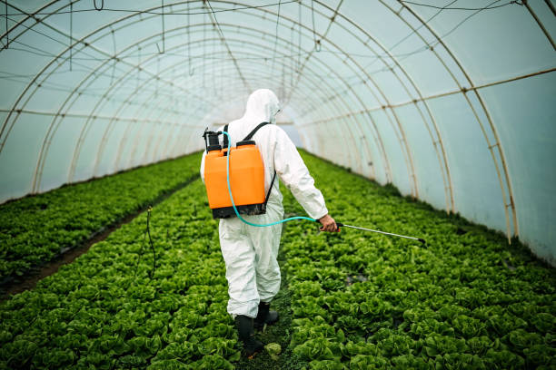Best Affordable Pest Control Services  in Ruskin, FL
