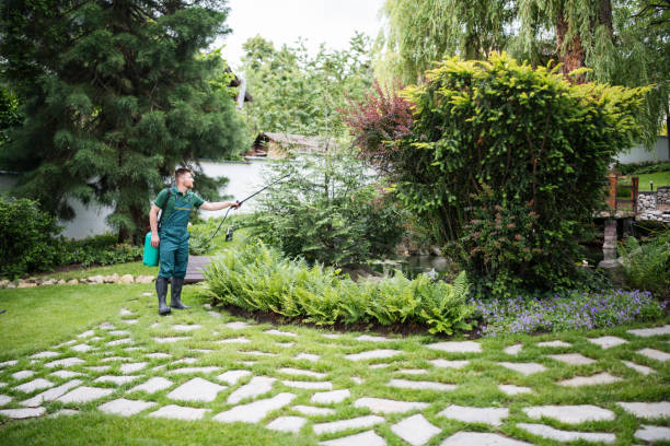 Best Ant Control Services  in Ruskin, FL