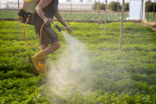 Ruskin, FL Pest Control Company