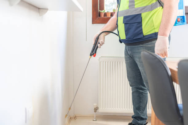 Best Termite Control Services  in Ruskin, FL