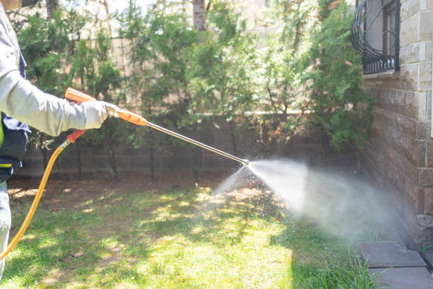 Best Exterminator Services  in Ruskin, FL