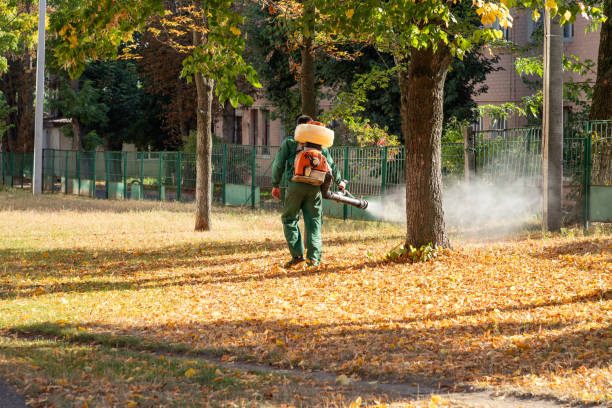 Best Best Pest Control Near Me  in Ruskin, FL