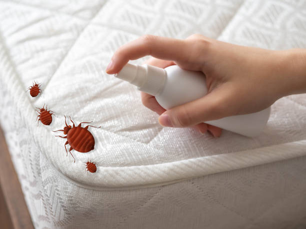 Pest Prevention Services in Ruskin, FL