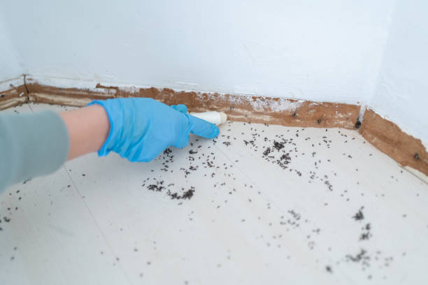 Best Pest Prevention Services  in Ruskin, FL