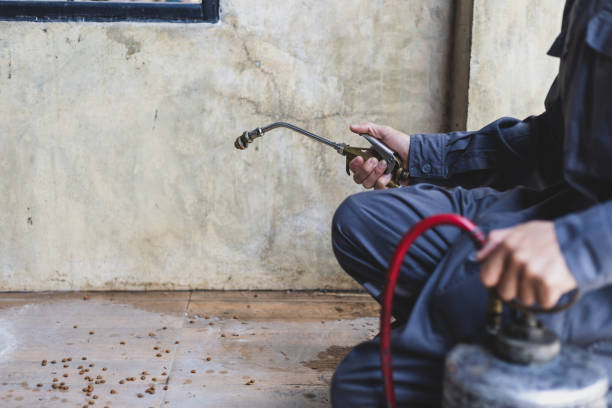 Best Pest Control for Homes  in Ruskin, FL