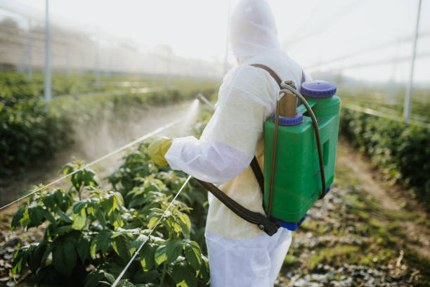 Best Affordable Pest Control Services  in Ruskin, FL